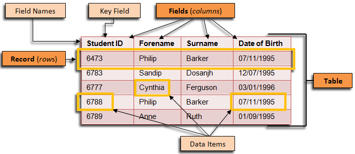 The components of a database table