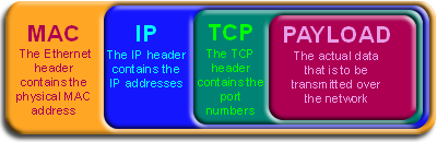 The structure of a typical data packet