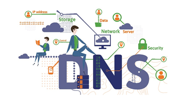 Domain Name Server (DNS) | History, Types, Role, Example